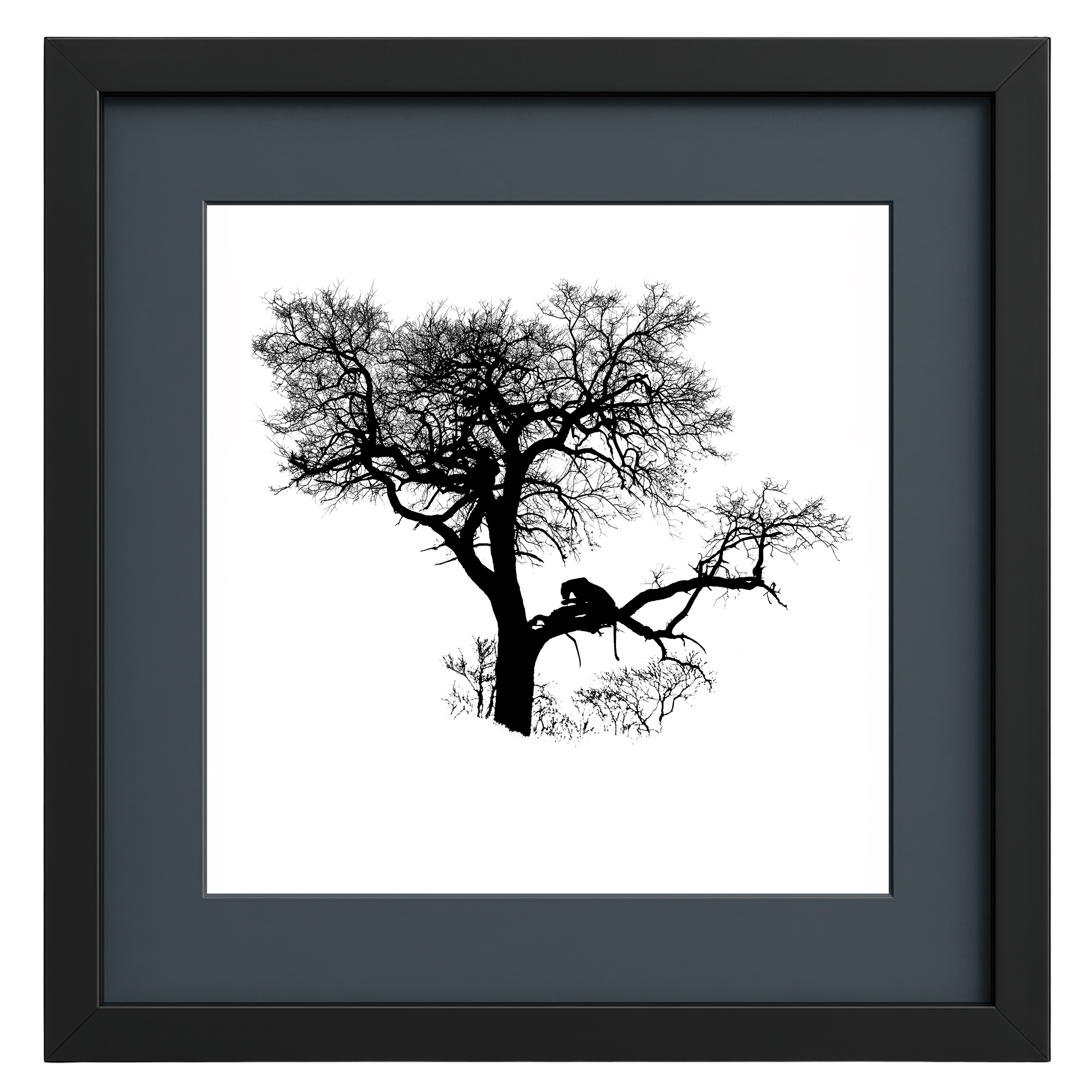 Black silhouette of a tree with a leopard on a white background, framed in black.