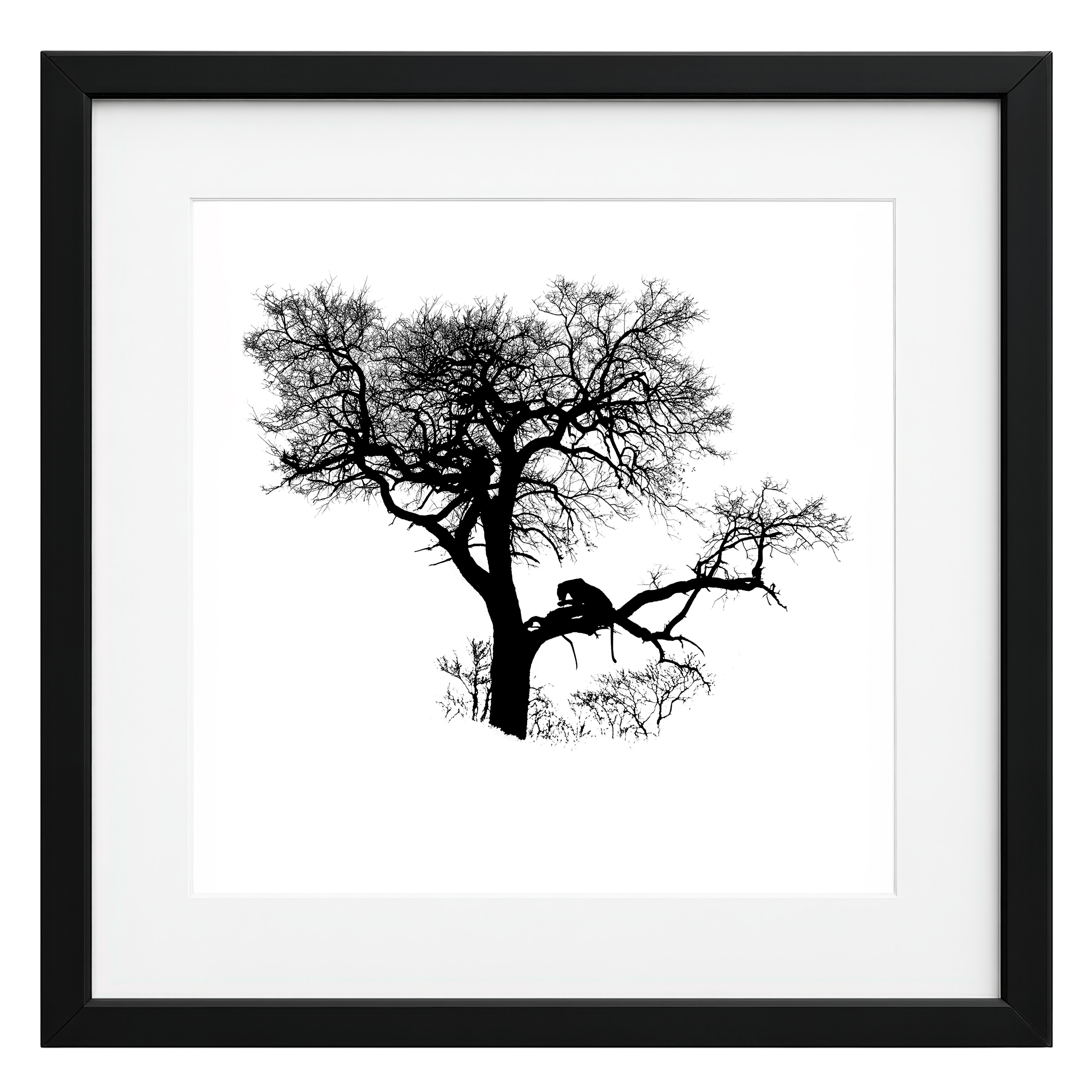 Framed black and white silhouette of a tree with a leopard on a white background