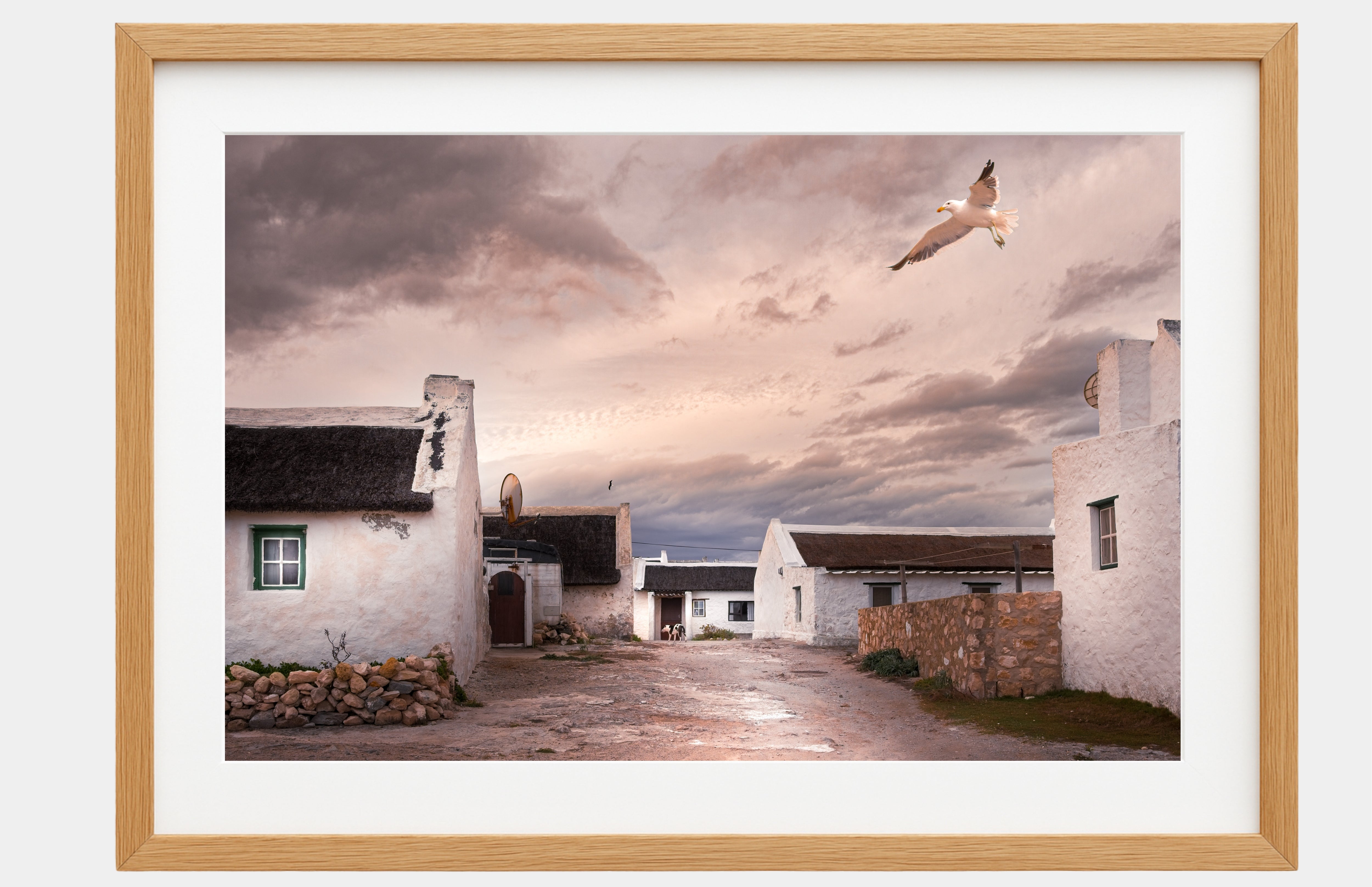 Framed photograph of a rural scene with white buildings and a seagull flying over.