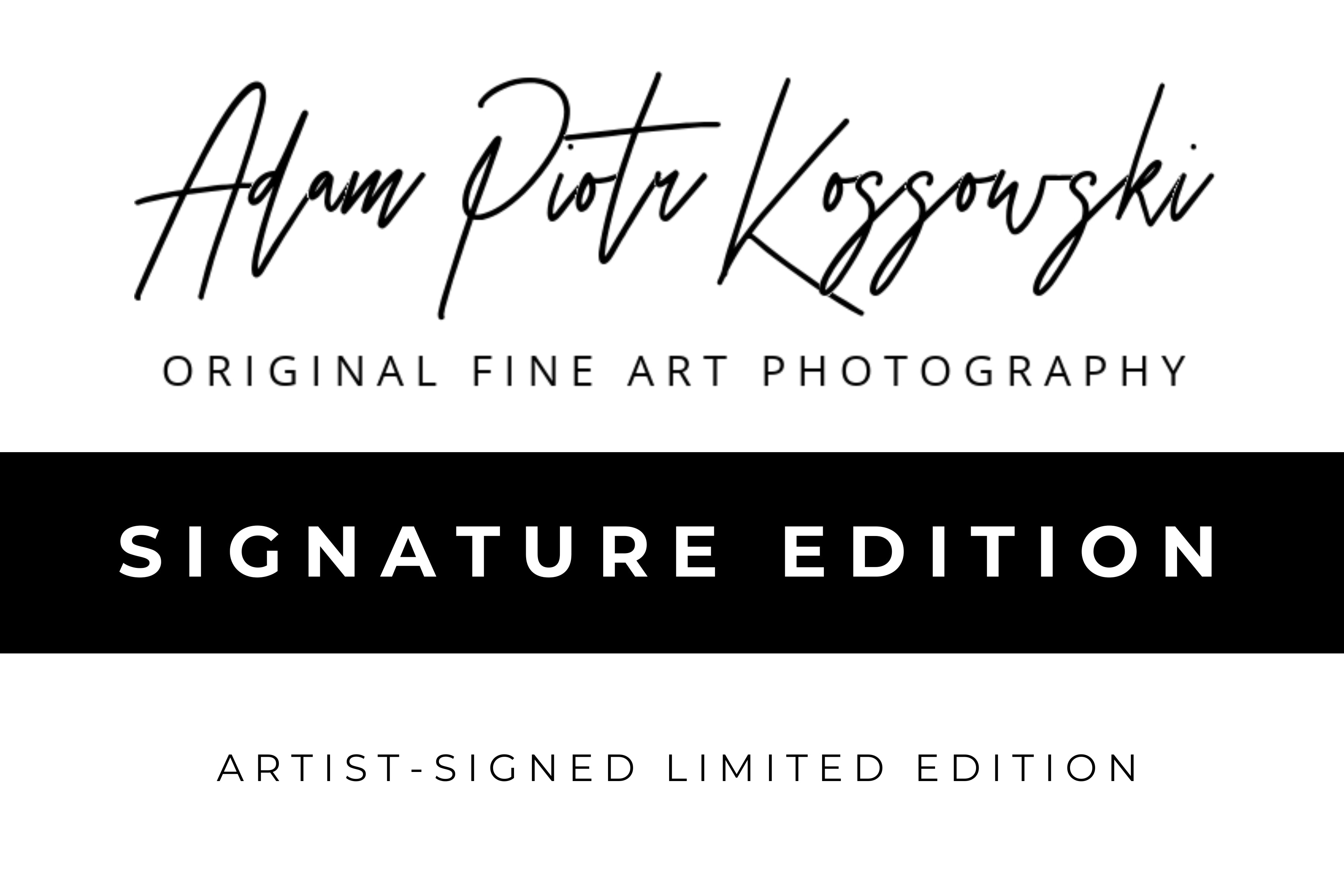 Adam Piotr Kossowski Signature Edition