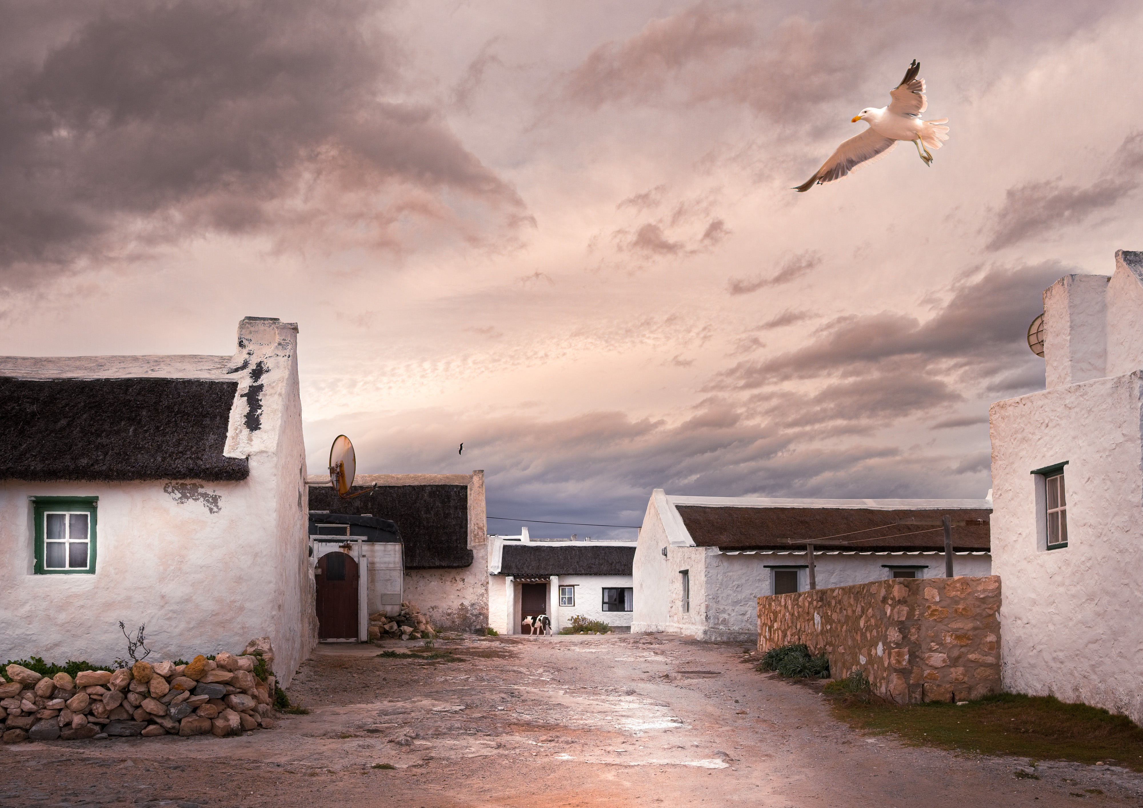 White buildings with thatched roofs under a cloudy sky, with a seagull flying above.