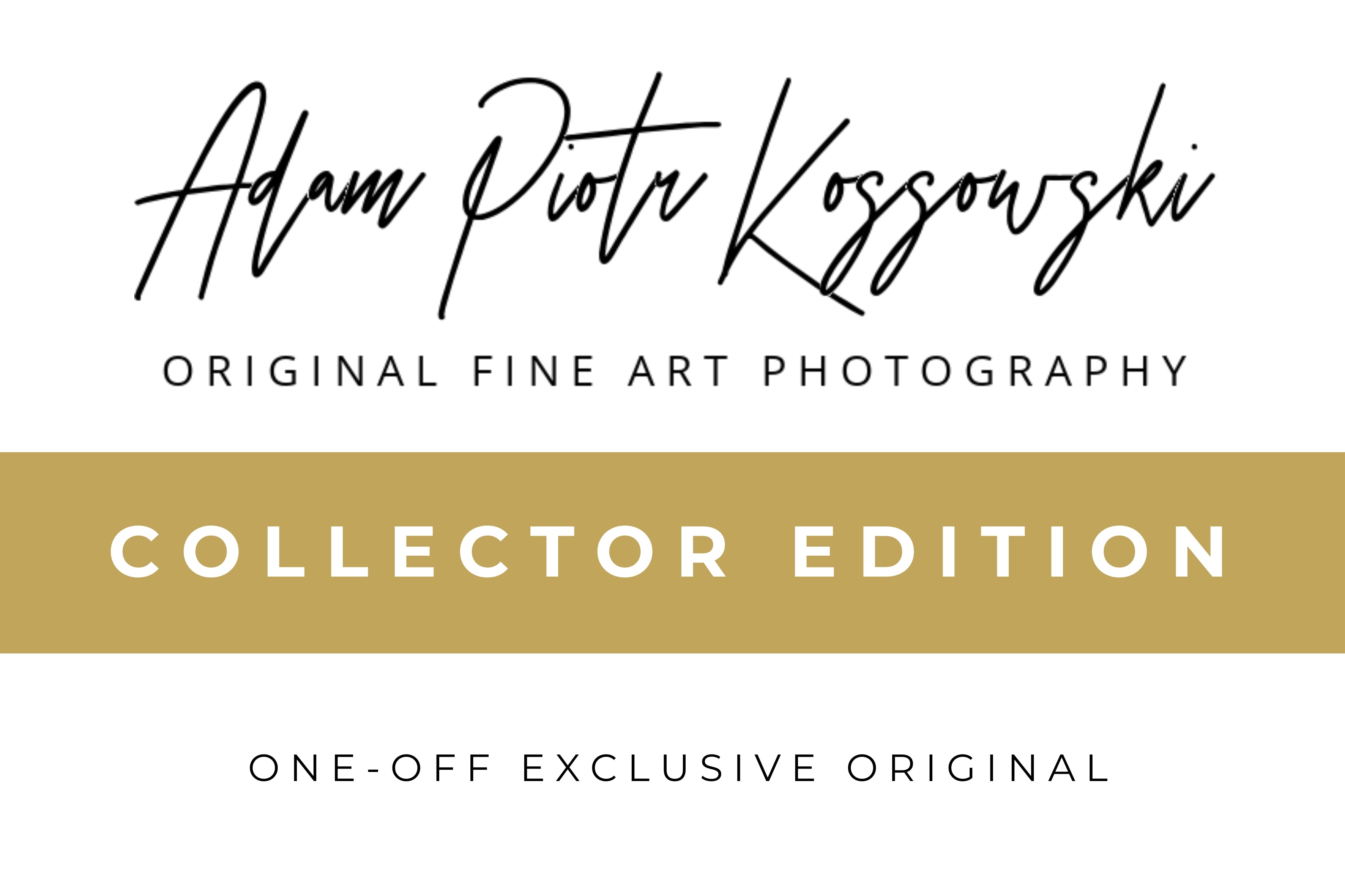 Adam Piotr Kossowski Collector Edition